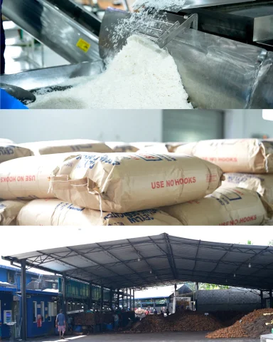 how-coconut-are-made-for-market.webp